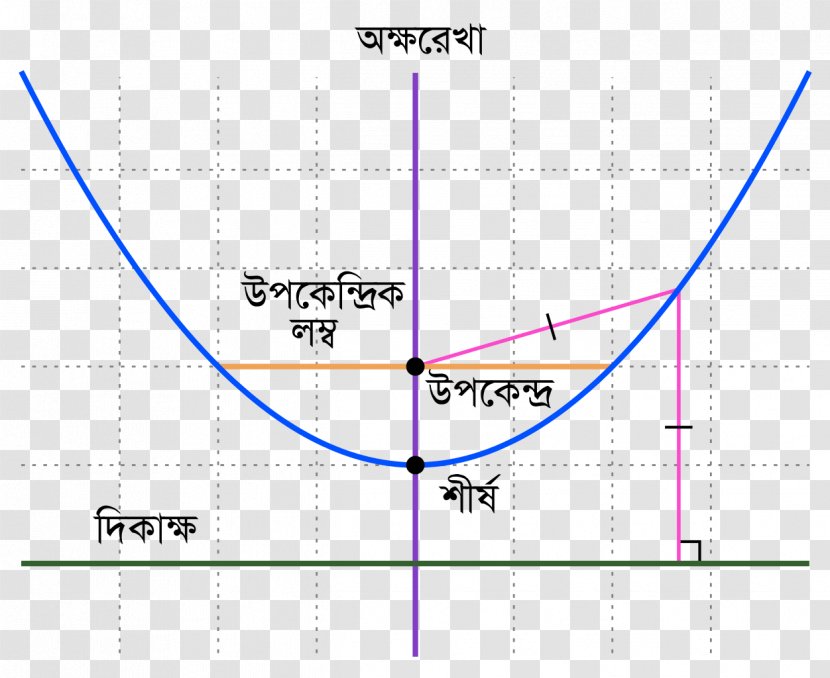 Parabola Line Hyperbola Conic Section Ellipse - Text Transparent PNG