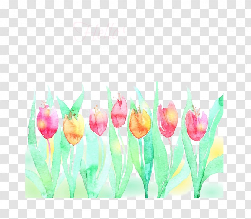 Tulip Watercolor Painting Illustration - Floral Design - A Row Of Tulips Picture Material Transparent PNG