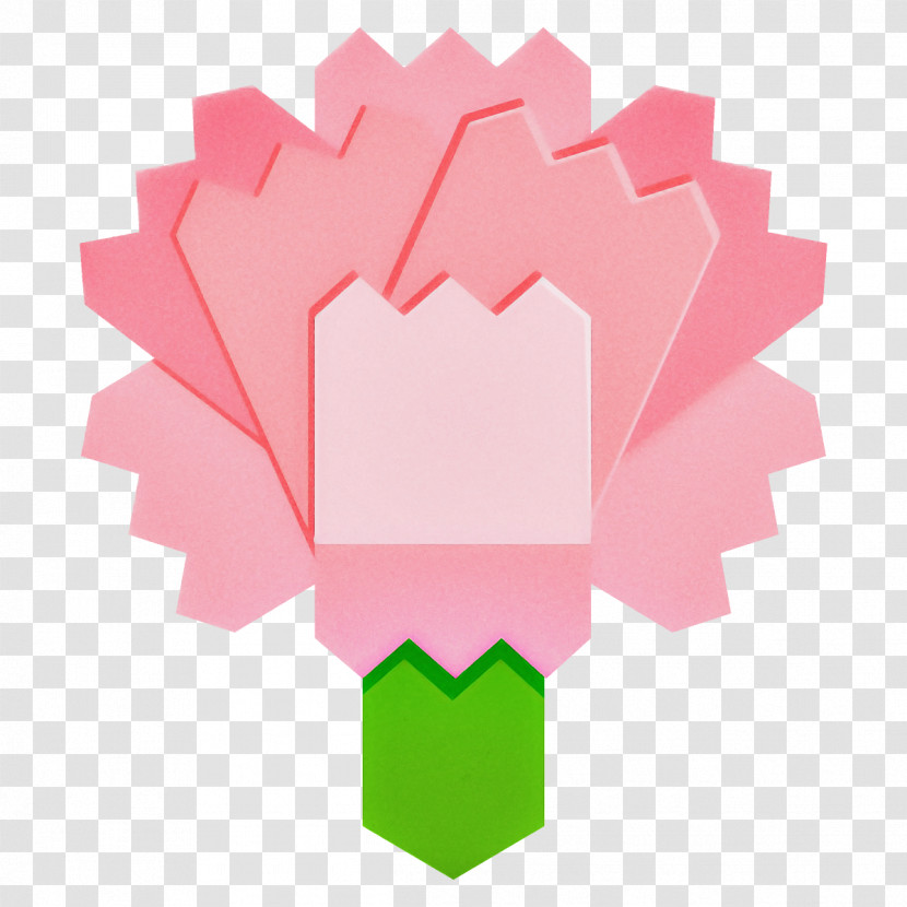 Carnation Flower Transparent PNG