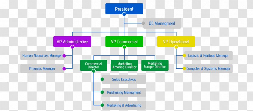 Organizational Chart Social Security Administration Structure - Douglas Macarthur Transparent PNG