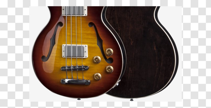 Acoustic Guitar Electric Gibson Les Paul Bass ES-335 - Flower Transparent PNG