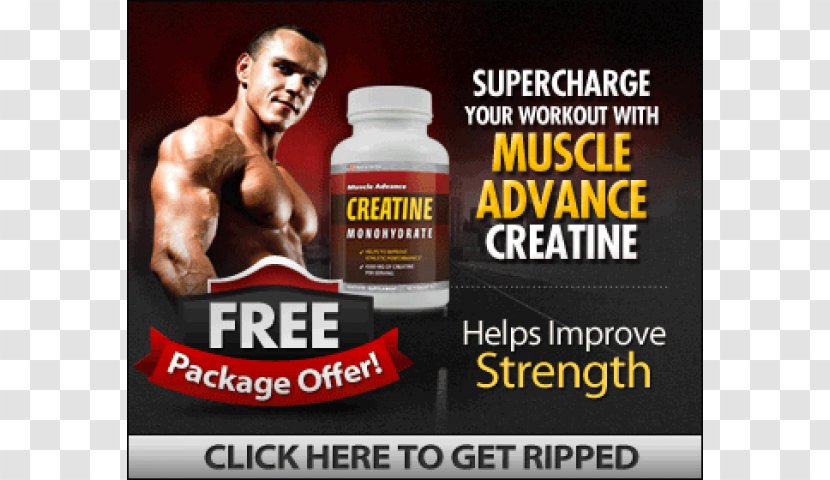 Dietary Supplement Creatine Muscle Hypertrophy Bodybuilding Transparent PNG