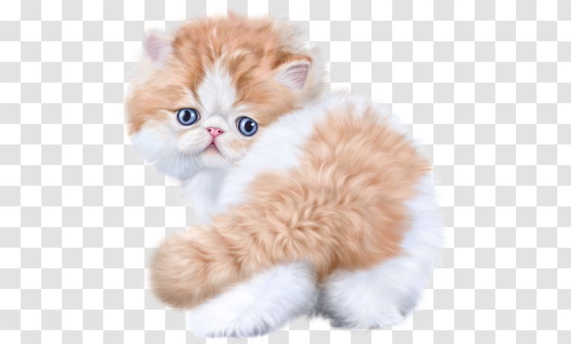 Animation Cat Clip Art - Stuffed Toy Transparent PNG