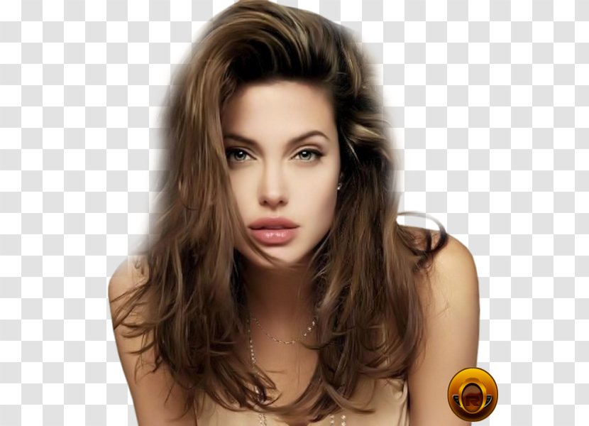 Angelina Jolie Actor Female Celebrity Film Director Transparent PNG