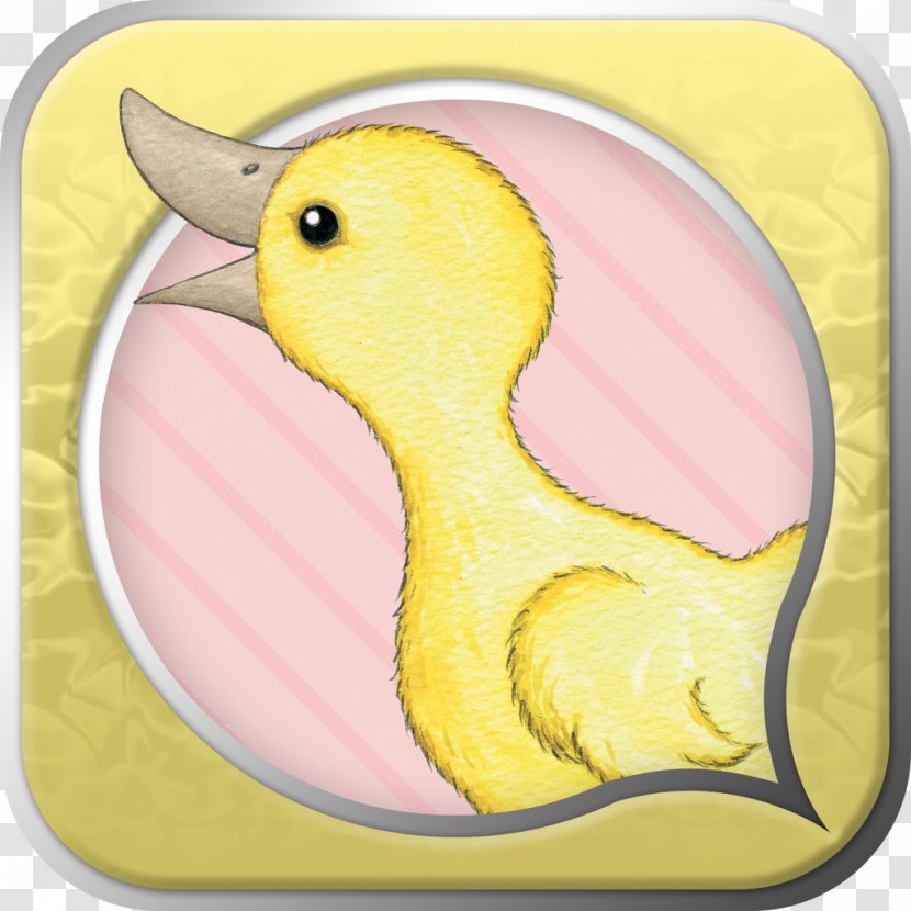 Duck Beak Cartoon Chicken Meat Animal - Water Bird Transparent PNG