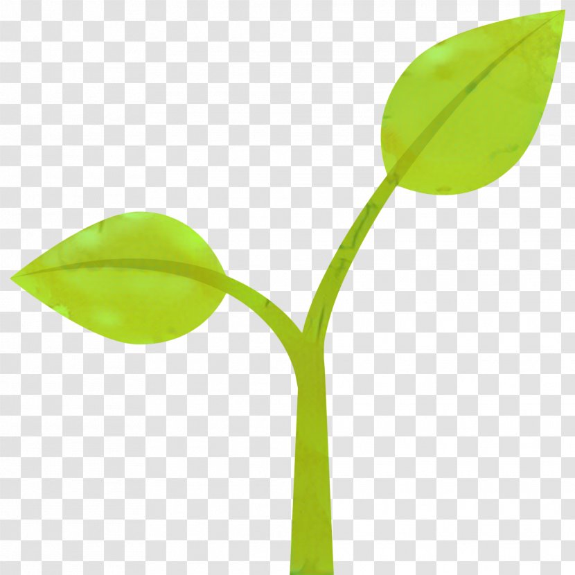Family Tree Background - Plants - Arum Transparent PNG