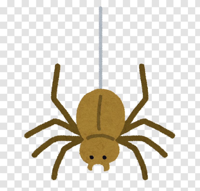 Spider Meaning Synonym Opposite Japan Transparent PNG