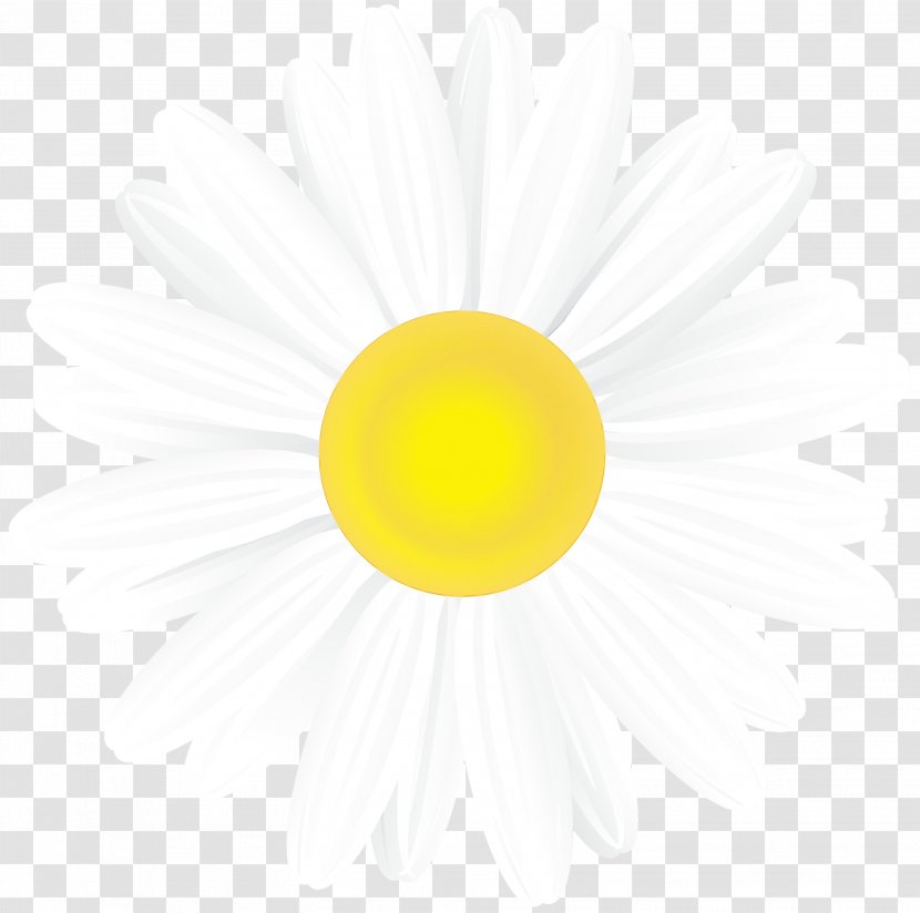 Watercolor Flower Background - Fried Egg White Transparent PNG