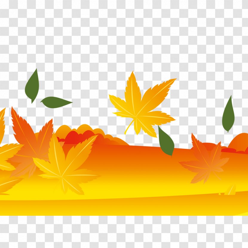 Maple Leaf Yellow Autumn - Color - Leaves Transparent PNG