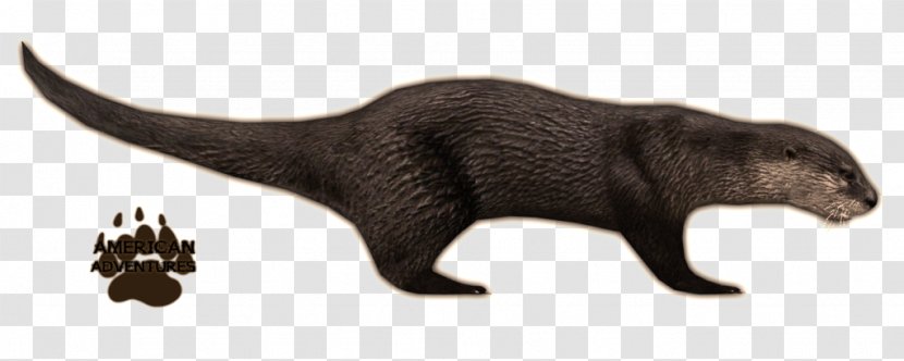 Sea Otter Zoo Tycoon 2 North American River Japanese - Fur - Mustelidae Transparent PNG
