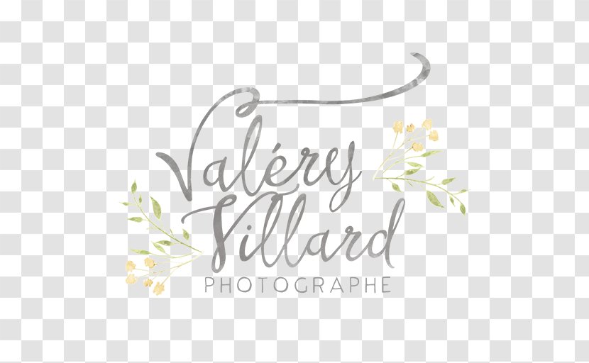 Floral Design Brand Logo Font - Plant Transparent PNG