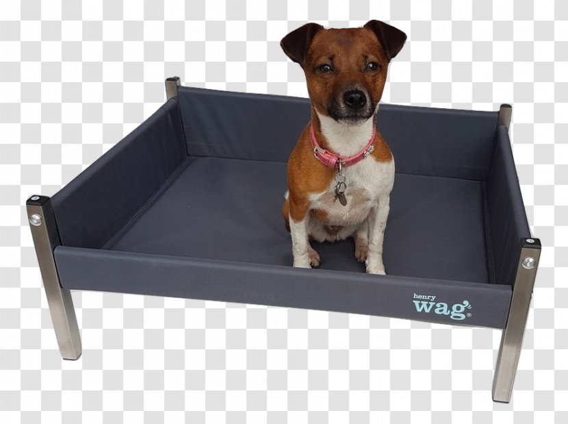 Bed Airedale Terrier Kennel Blanket Pet Transparent PNG