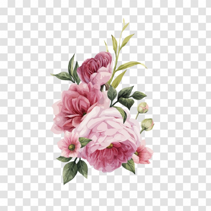 Pink Flowers Still Life: Roses Flower Bouquet Image - Garden - Plant Watercolor Transparent PNG