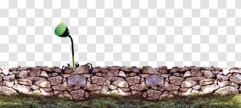 Stone Wall Download - Leaf Transparent PNG