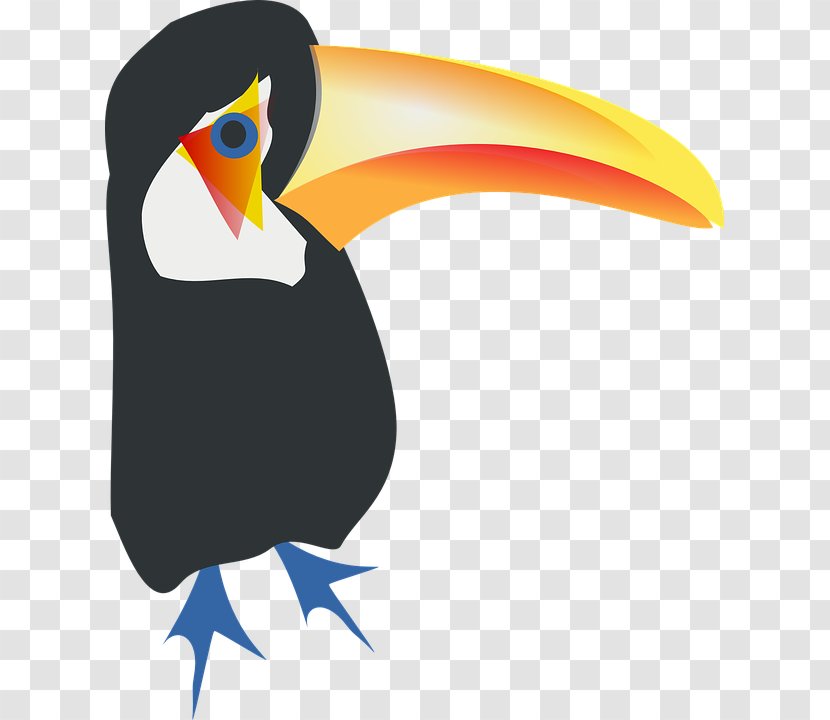 Bird Toco Toucan Parrot Clip Art - Penguin Transparent PNG
