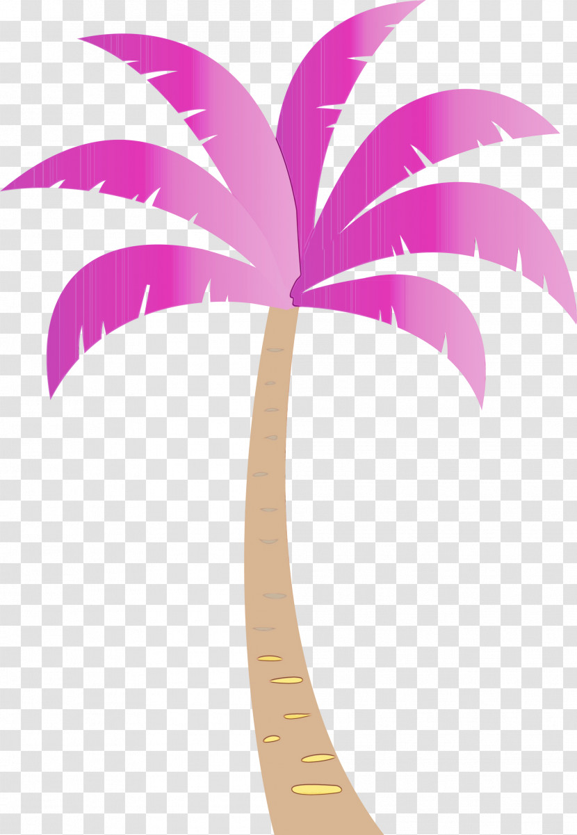 Palm Trees Transparent PNG