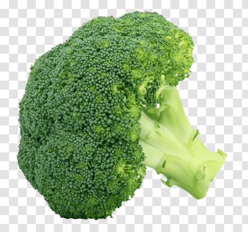 Broccoli Cruciferous Vegetables Clip Art - Superfood Transparent PNG