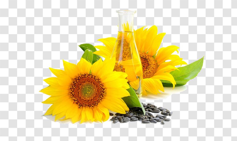 Common Sunflower Oil Seed Vegetable - Cooking Oils - Glass Bottles And Daisy Seeds Transparent PNG