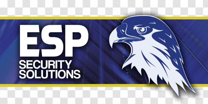 Logo Banner Brand Transparent PNG