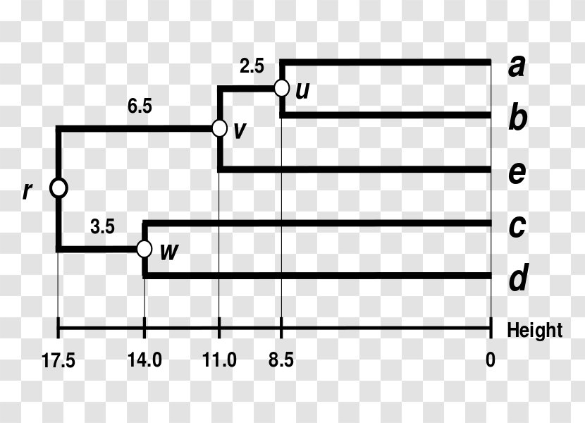 DNA Sequencing Nucleotide /m/02csf - Tree - Dendrogram Transparent PNG