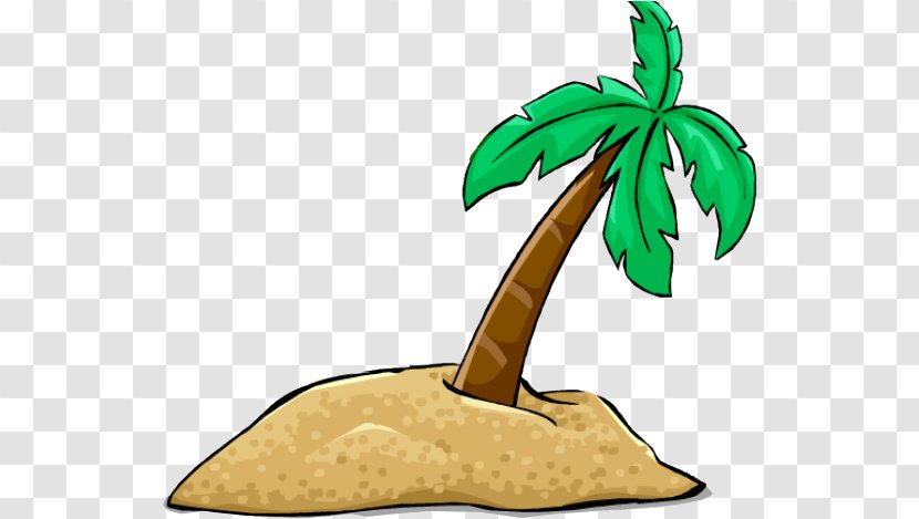 Coconut Tree Drawing - Palm Trees - Soil Transparent PNG