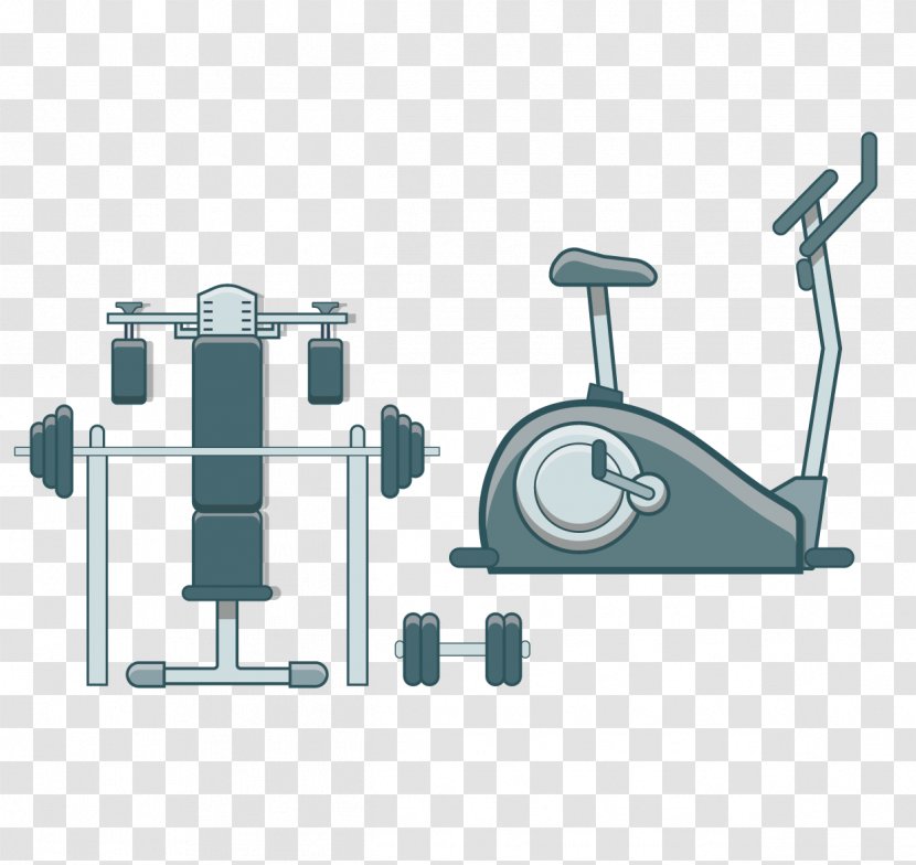 Euclidean Vector Bodybuilding - Physical Fitness - Material Transparent PNG