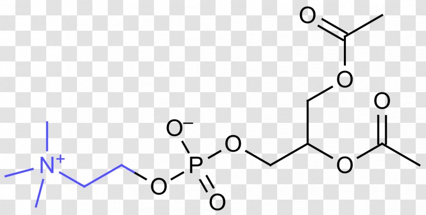 Phosphatidylcholine Omega-3 Fatty Acid Lysine Dietary Supplement - Frame - Ester Transparent PNG