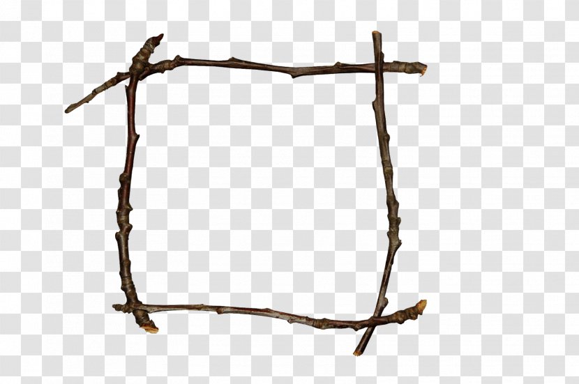 Twig Background - Plant Transparent PNG