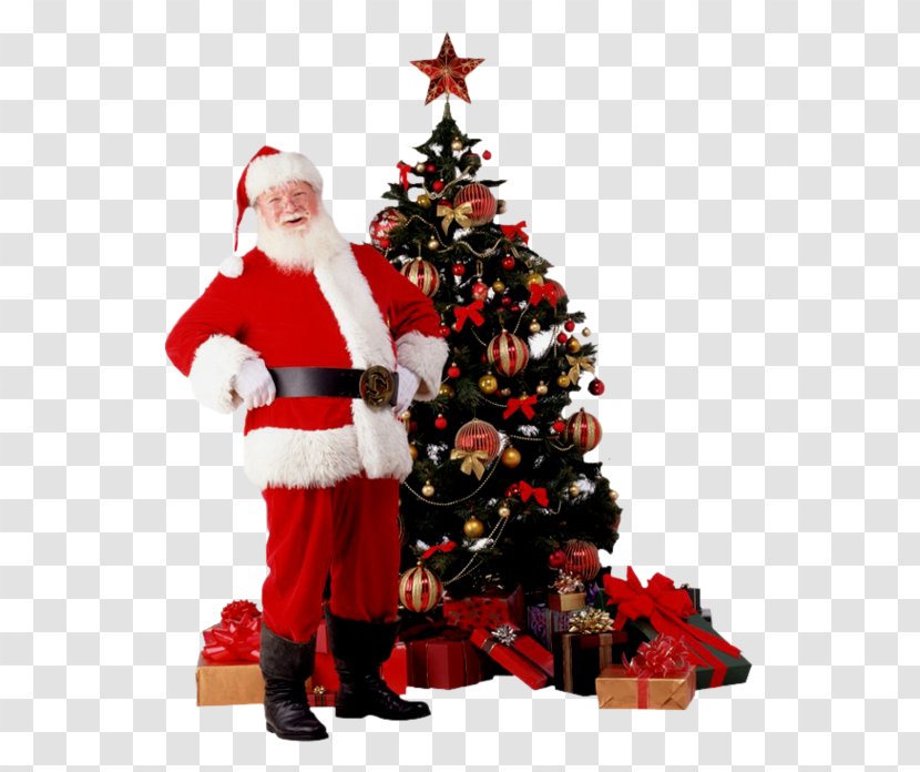 Santa Claus Christmas Tree New Year And Holiday Season - Festival Transparent PNG