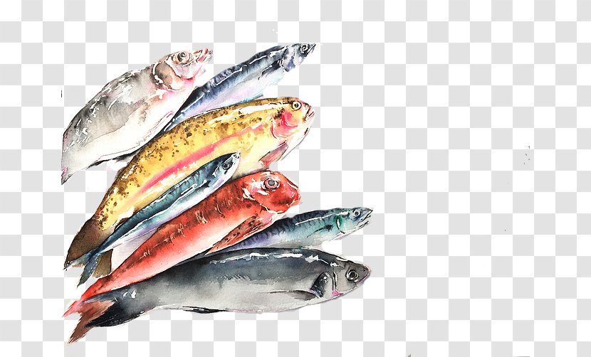 Pacific Saury Sardine Fish Products Mackerel Oily - Herring - Colored Transparent PNG