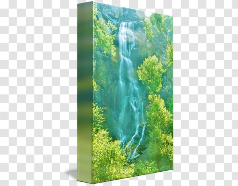 Nature Reserve Water Resources Biome Waterfall Vegetation - Bridal Veil Transparent PNG