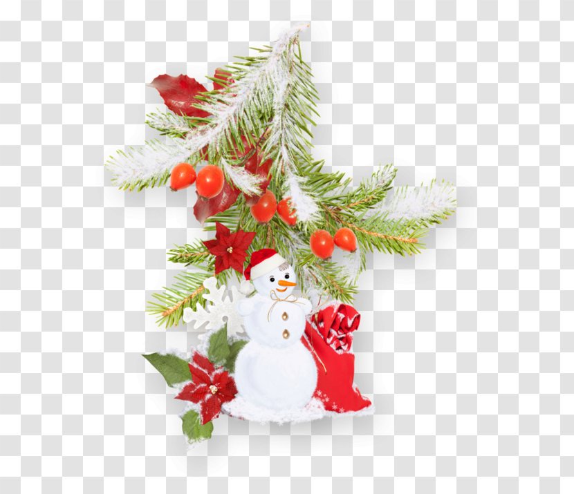 Christmas Tree Day New Year Decoration Holiday - Twig Transparent PNG