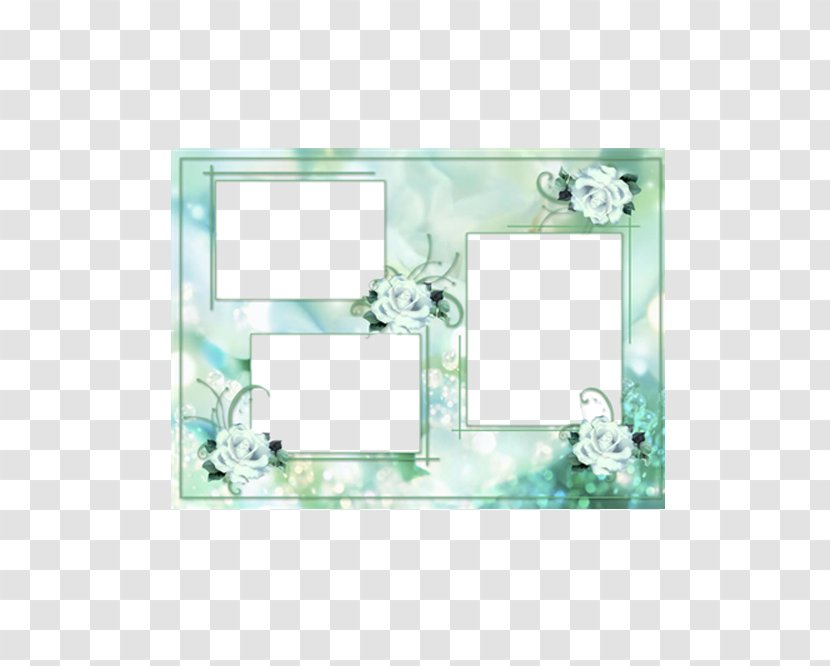 Digital Photo Frame Picture Download - Photography - White Rose Border Transparent PNG