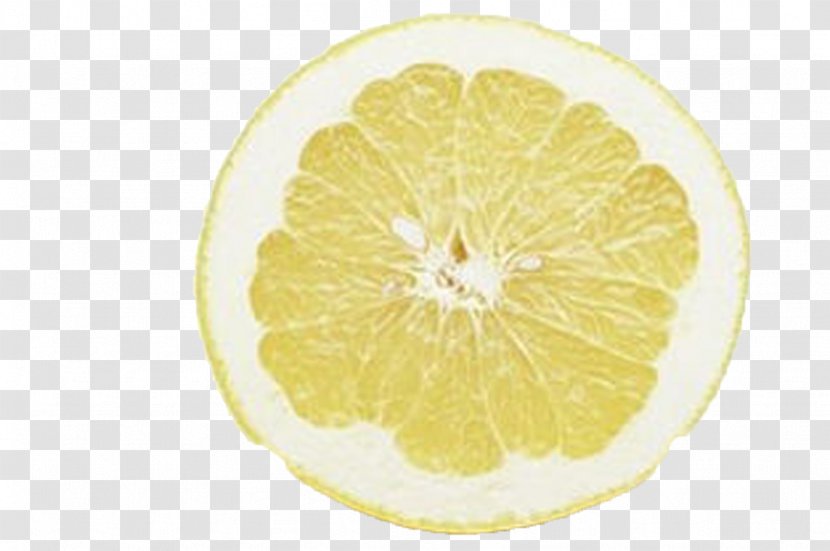 Sweet Lemon Citron Grapefruit Citrus Junos - Half The Size Of A Transparent PNG