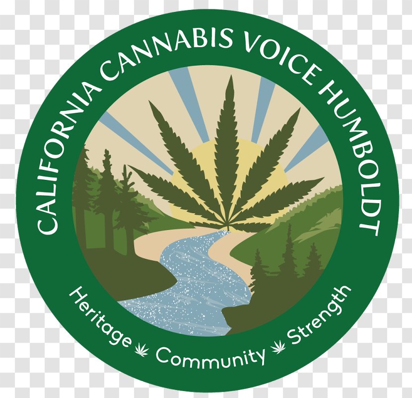 Leaf Hemp Cannabis - Green - Cali Transparent PNG
