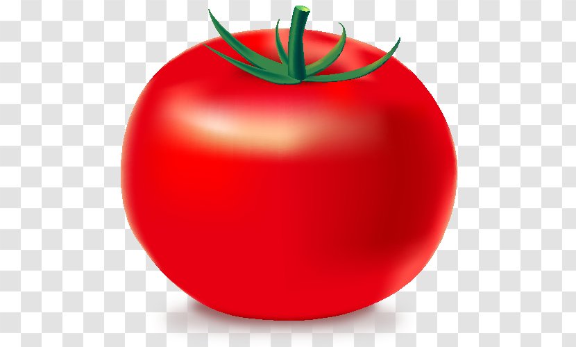 Tomato Jambalaya Vegetable - Tomatillo - Free Icon Transparent PNG