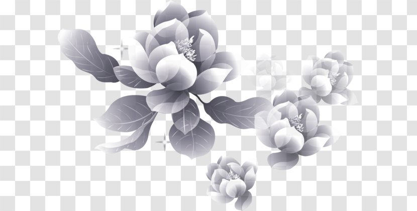 Moutan Peony Flower Petal - Black And White Transparent PNG