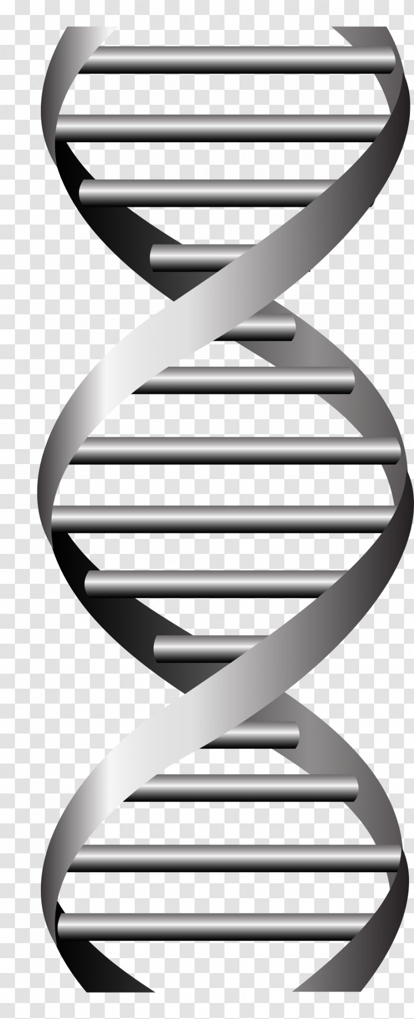 DNA Vector Graphics Nucleic Acid Double Helix Genetics - Dna - Science Symbols Transparent PNG