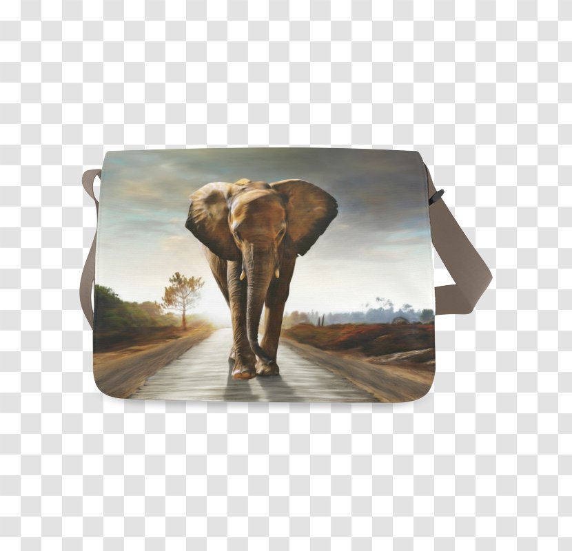 African Elephant Elephantidae Baby Elephants Indian Douchegordijn - Snout - Bag Model Transparent PNG