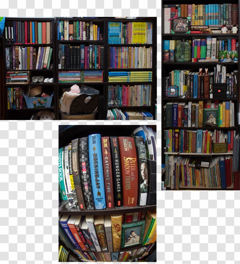 Bookcase Shelf Library Couch - Public - Bookshelf Transparent PNG