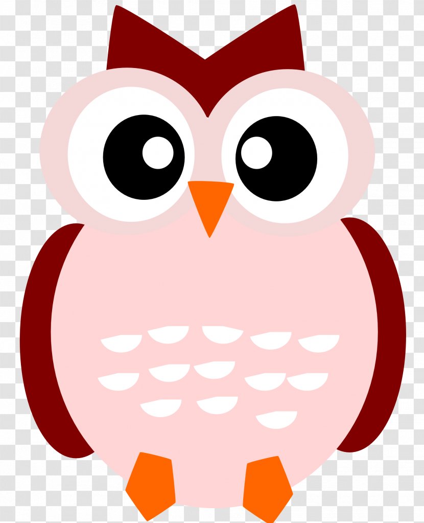 Owl Cartoon Clip Art - Nose - Owls Transparent PNG
