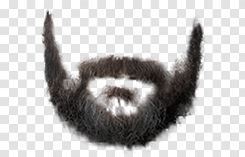Beard Clip Art - And Moustache Transparent PNG