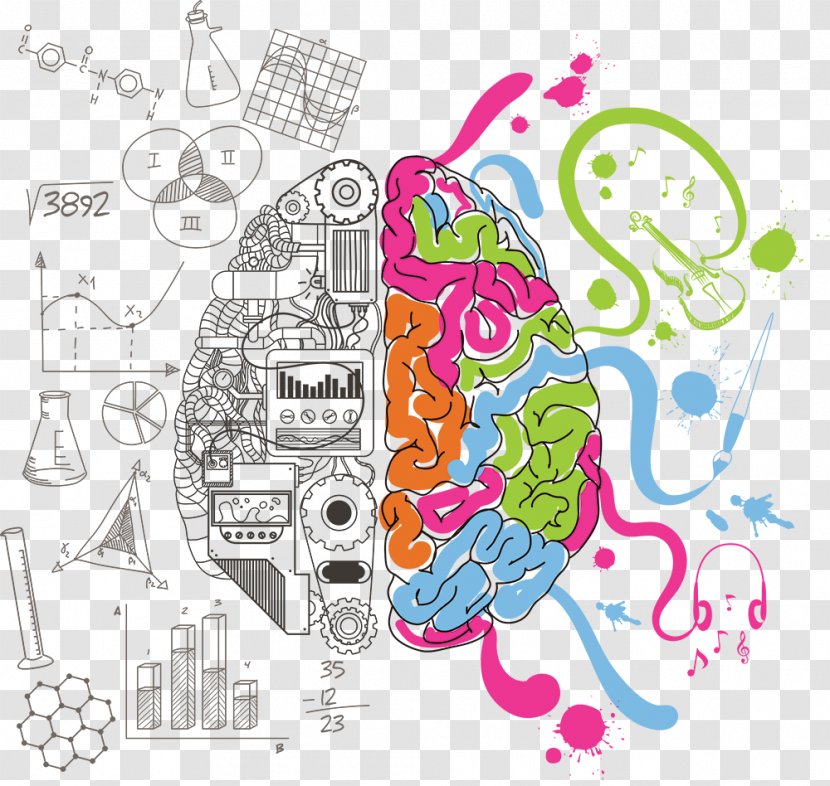 Cerebral Hemisphere Creativity Brain Advertising - Heart Transparent PNG