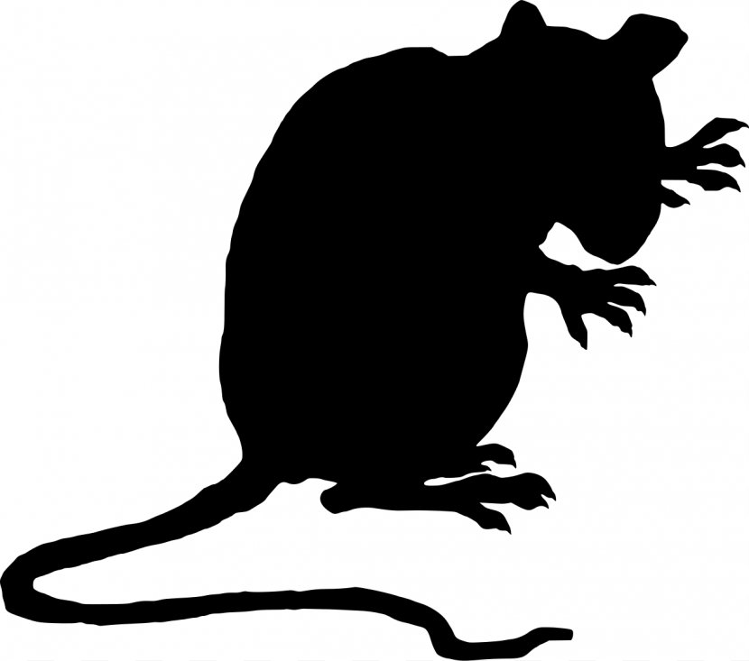 Brown Rat Black Laboratory Mouse Clip Art - Fauna - Evil Cliparts Transparent PNG