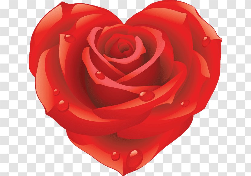 Best Roses Desktop Wallpaper Download Clip Art - Heart - Rose Transparent PNG