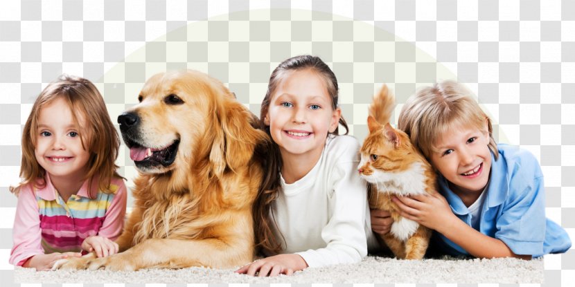 Cat Dog Pet Shop Family - Sharing Transparent PNG