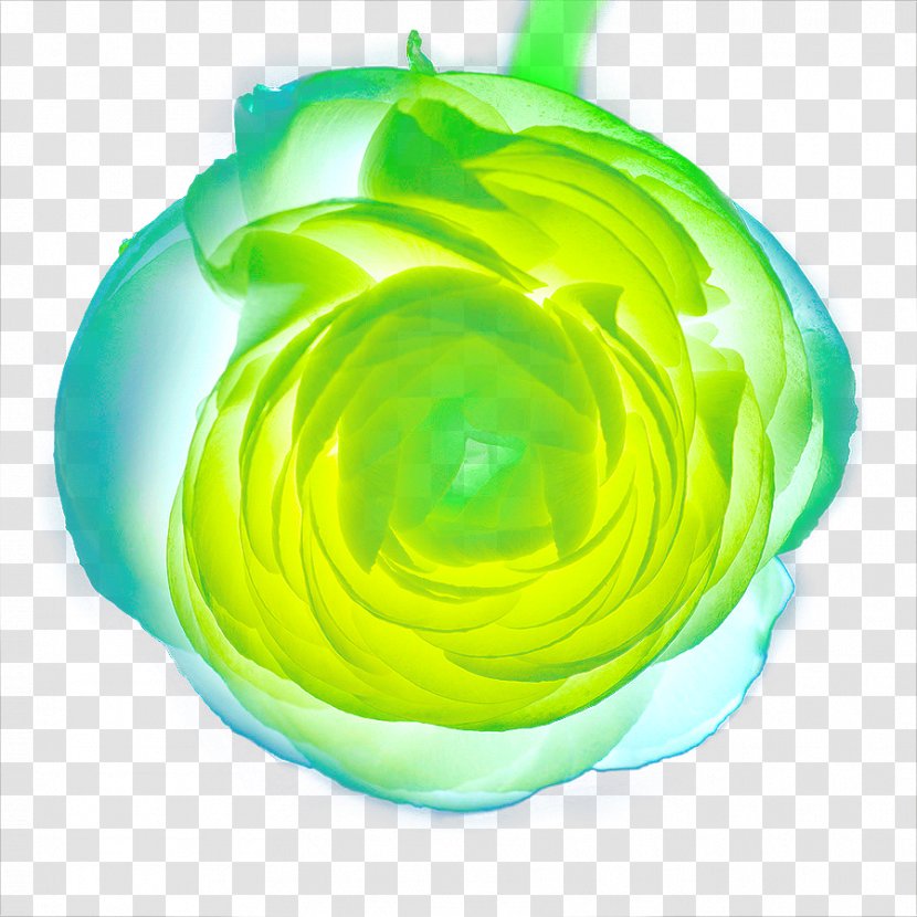 Green Circle - Yellow - Hand Painted Light Effect Flower Closeup Transparent PNG