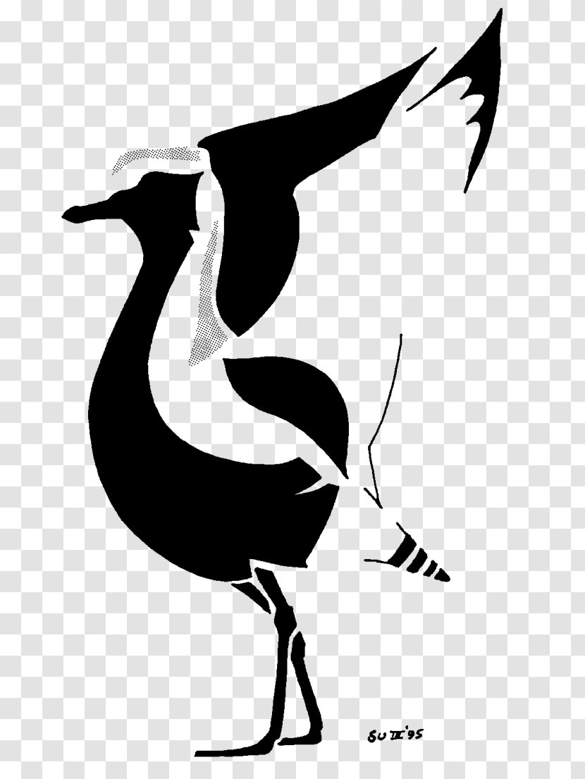 Hornbill Bird - Blackandwhite - Spotted Redshank Transparent PNG
