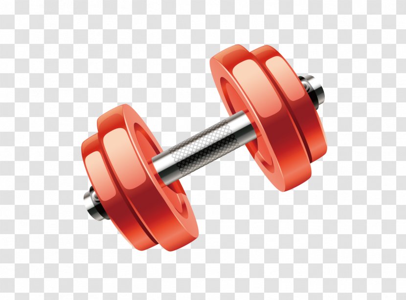 Weights Dumbbell Exercise Equipment Wheel Transparent PNG