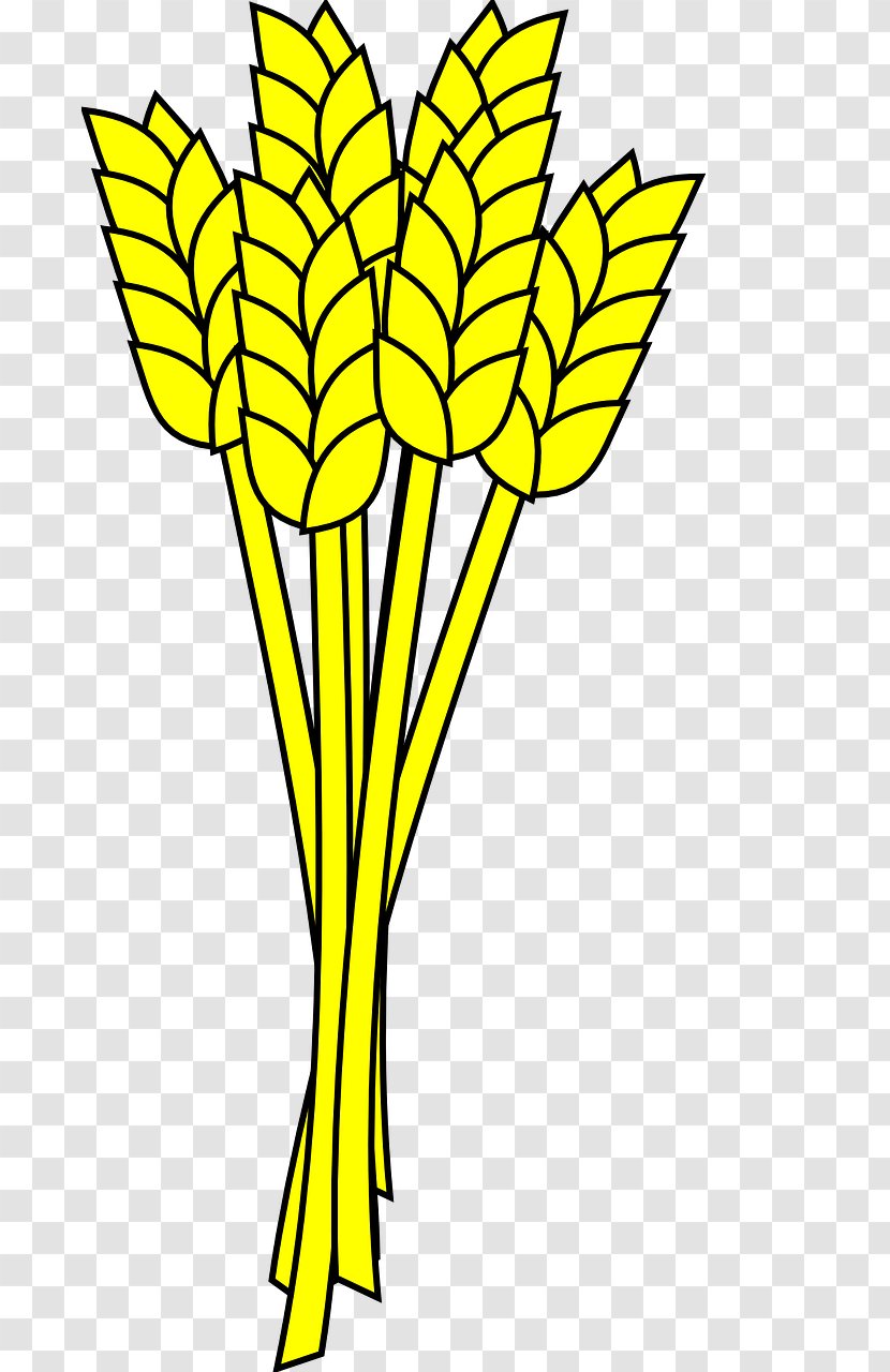 Wheat Clip Art - Ear - Barley Yellow Transparent PNG